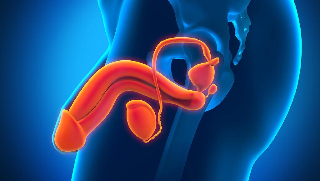 输尿管结石能吃什么 输尿管结石的治疗方法都有哪些