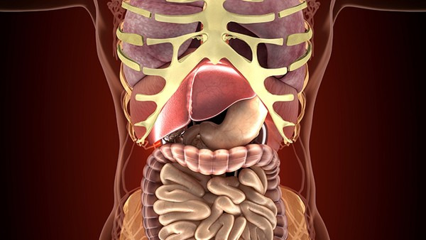 腸梗阻能喝水嗎 腸梗阻該怎樣治療