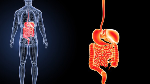 肠梗阻的排气方法都有哪些 患有肠梗阻该如何是好