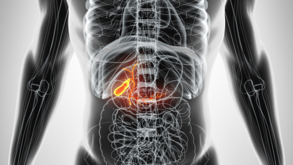 胆囊结石术后多久能恢复 胆囊结石术后该如何进行护理
