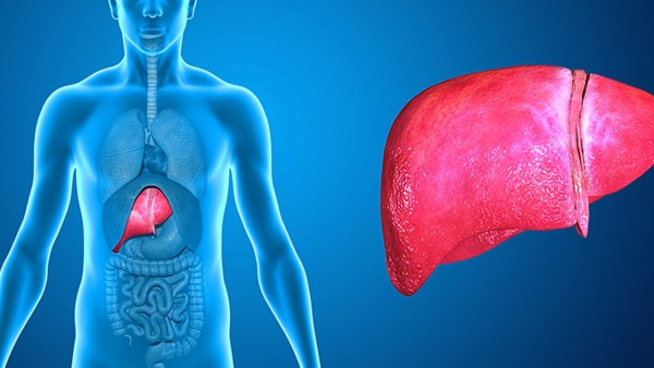 肝上长血瘤怎么办 肝上长血瘤的原因是什么