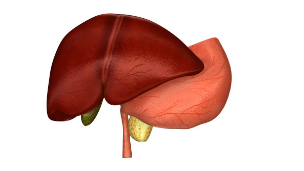 肝血管瘤怎样治疗最好 治疗肝血管瘤的2大原则