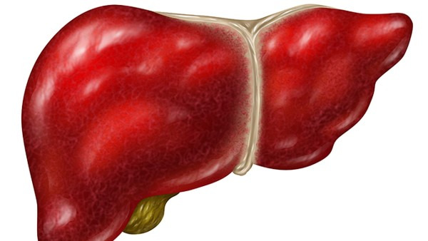 肝血管肿瘤严重吗 肝血管瘤的治疗方法有哪些