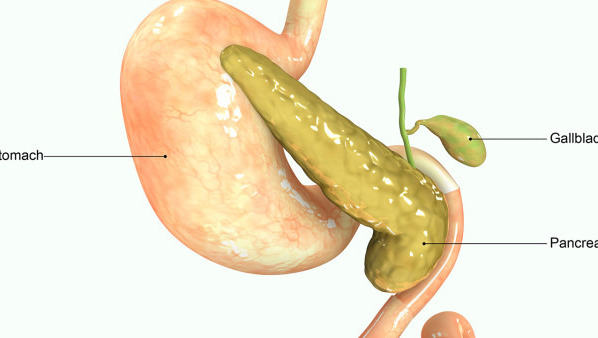 膽囊結(jié)石嘴苦怎么辦 膽囊結(jié)石嘴苦可以通過(guò)口含姜片治療