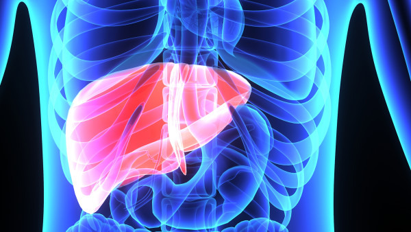 肝上有血管瘤能活多久 肝血管瘤的危害有哪些