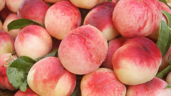 乳腺增生能吃桃吗？可以多吃