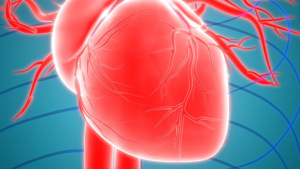 多数先天性心脏病的患儿寿命都是比较长的
