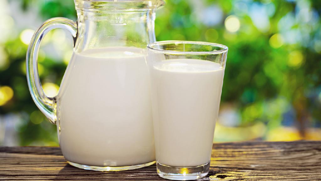 发烧咳嗽可以喝牛奶吗 发烧咳嗽喝牛奶会出现哪些危害