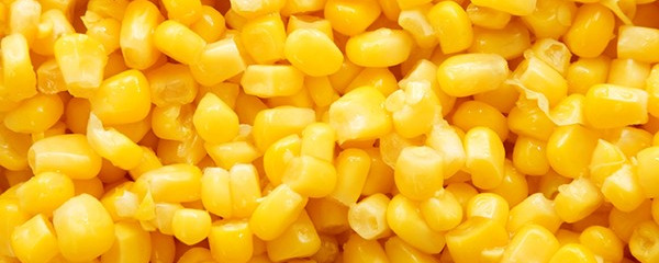 玉米的热量高吗 玉米的功效和作用都有哪些