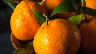 橘子的热量高吗？减肥人可以吃