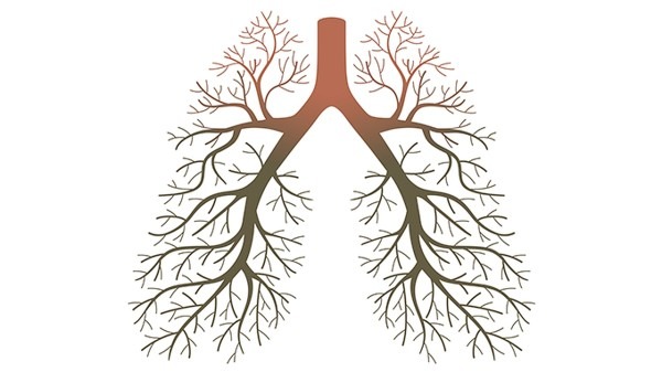 河北4地调整为中风险地区 河北3市进入战时状态
