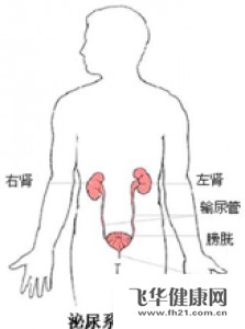 ooYBAFRhep-AOpbqAAAxQ6kEZno382.jpg