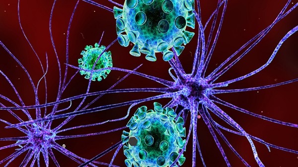 部分新冠疫苗接种点为何测到阳性？疾控：是死毒株