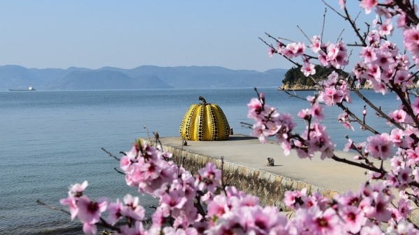 今年春节还返乡吗？全国多地倡议就地过年