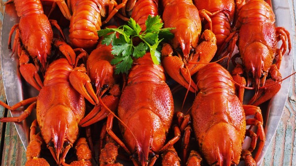 皮肤过敏可以吃龙虾吗？最好不要吃
