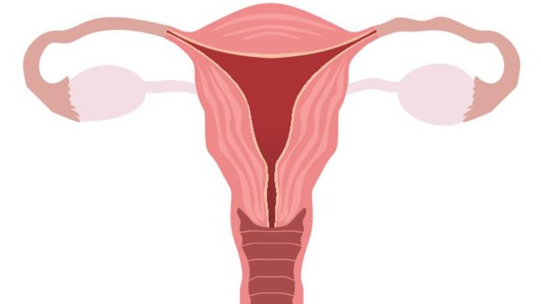 女性卵巢囊肿能治愈吗？必须进行手术