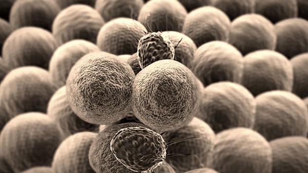 新冠复阳患者会传染吗？