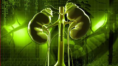 浅析肾病知识，肾病的早期症状有哪些