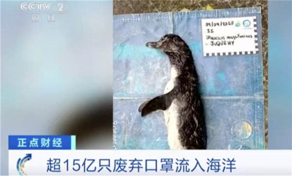 疫情影响超乎想象：去年超15亿只废弃口罩流入海洋