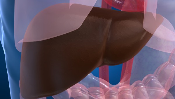 脂肪肝肝囊肿会不会引发肝癌？