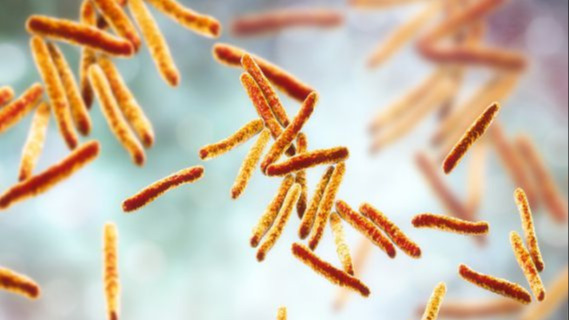马王堆曾发现中国最早结核菌 结核病可侵害多种动物