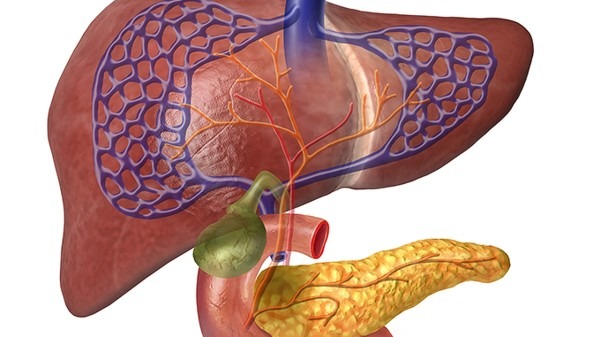 肝血管瘤的危害有哪些 肝血管瘤的病因