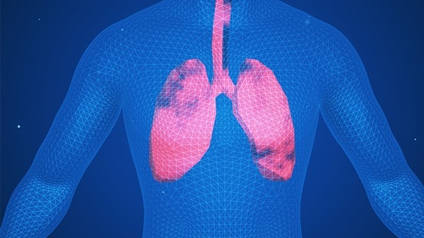 肺癌如何康复？可以从这五个方面进行