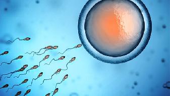 影响精子的因素有哪些 精子的破坏者