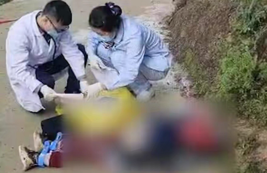 8岁小学生遭3条恶犬咬死!养狗伤人频发,该反思了