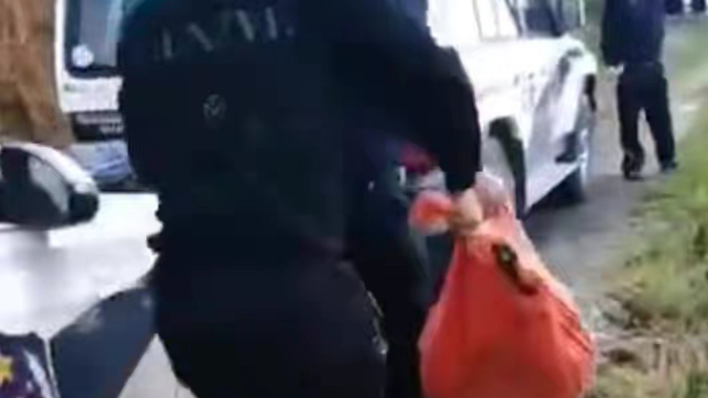 8岁小学生遭3条恶犬咬死!养狗伤人频发,该反思了