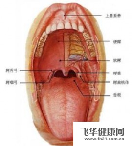 治療口腔癌的出名醫院有哪些