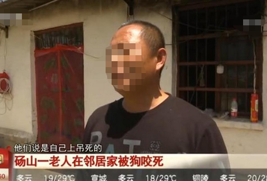 恶犬咬死老人后上吊自杀？目前 狗主人与被害家属协商一致