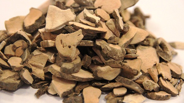 端午佳节，送您一份养生攻略~