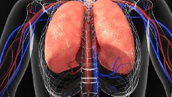 小细胞肺癌是怎么回事 注意这5大早期症状