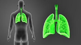 肺内脂肪瘤严重吗？   有哪些健康危害
