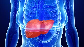 肝移植适用于哪些症状 移植成功后可以活多久