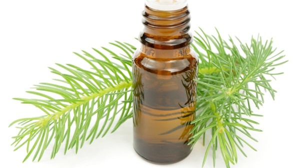 “伤寒第一方”小儿桂枝汤 宝宝风寒感冒就用它排汗驱邪