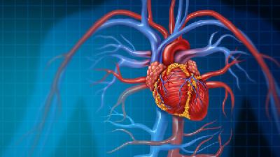 哪些人容易患心血管疾病？为什么会得心血管疾病