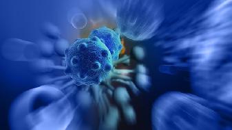 为什么男性更容易感染新冠肺炎？新冠病毒影响男性生育力吗