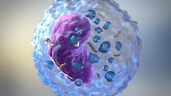 多款新冠疫苗临床测试均反映  T细胞免疫反应至关重要