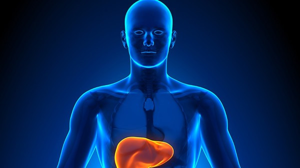 乙肝大三阳能活多久与什么有关 肝功能异常该怎么治疗