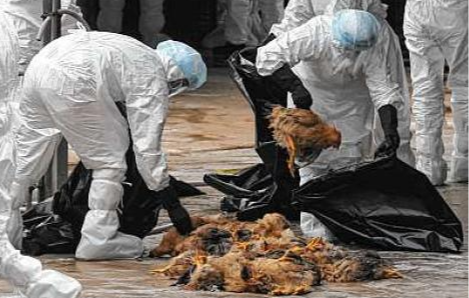 四川巴中出现1例人感染禽流感病例，卫生部门采取紧急措施