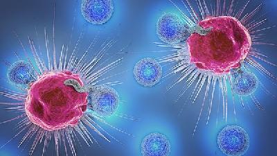 世卫组织：新冠病毒变异毒株德尔塔是最易传播的新冠病毒变异株
