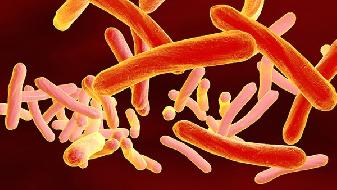 第一针北京科兴第二针兰州生物可以吗？兰州生物跟北京科兴哪个好