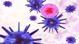 新冠病毒存活时间最长是多少？意大利两大区报告印度发现的变种病毒