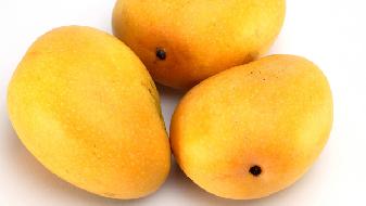 我过芒果的产地在哪些地方 芒果的进口国有哪几个