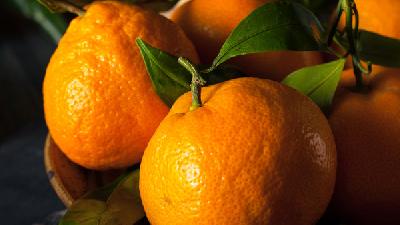 橘子的营养成分高吗 吃橘子对身体有什么益处