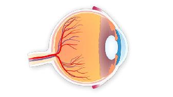 眼睛出现莫名的症状当心失明   不自主流泪小心慢性泪囊炎
