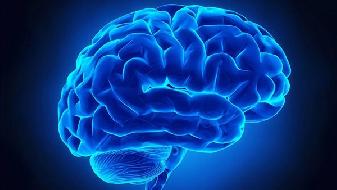补脑健脑有讲究五大营养物质来帮忙