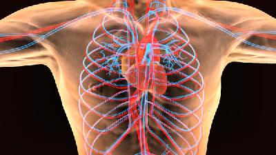 心肌炎莫大意 当心惹来三3大后遗症
